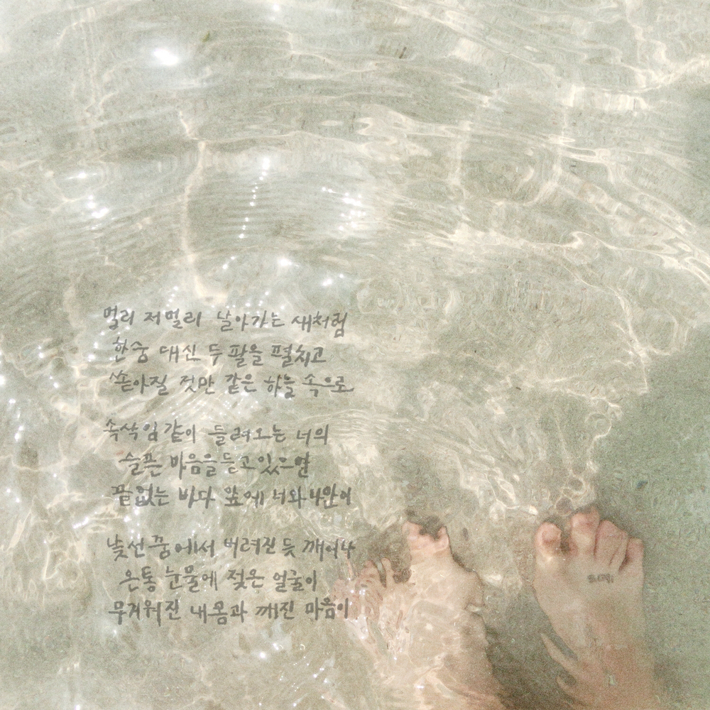 Image Cover